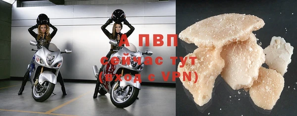 ПСИЛОЦИБИНОВЫЕ ГРИБЫ Беломорск